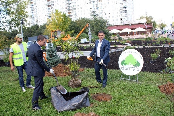 Участие администрации в посадках